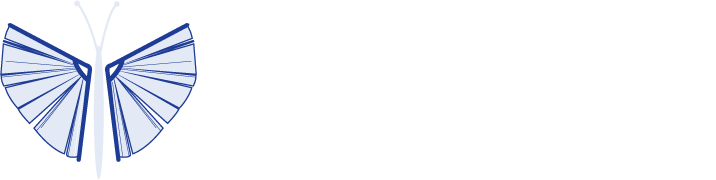 Buchplanung Berlin